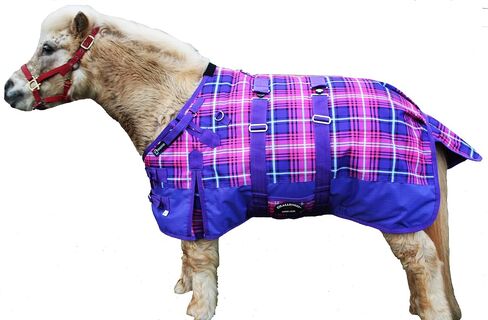 60" 1200D Miniature Weanling Donkey Pony Horse Foal Winter Blanket Purple 51971B in Saudi Arabia