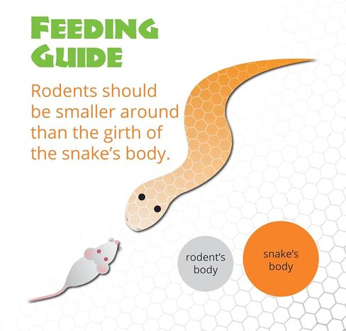 Mack's Natural Reptile Food Frozen Large Mouse - 25ct in Saudi Arabia