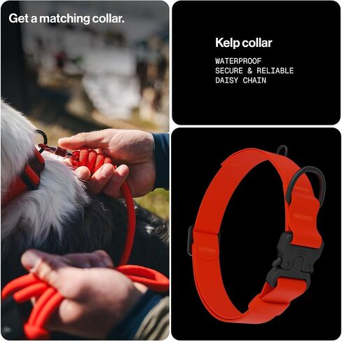 Säker Trust™ Rope Dog Leash – 61" Climbing Rope Lead with 7075 Aluminum Carabiner, Waterproof & Reflective Training Gear for Dogs, Built for Trail Running, Hiking, Everyday Use – Orange in Saudi Arabia