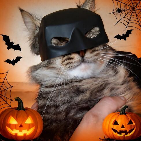 Cat Bat Mask Funny Cat Mask Halloween Costume for Cats, Cosplay Pet Party Accessories Lightweight and Easy to Wear in Saudi Arabia