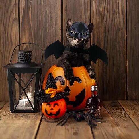 Cat Halloween Costumes, Cat Bat Mask and Bat Wings Set for Halloween Party Decoration, Pet Cosplay Costume for Cats and Small Dogs(Mask and Large Wings) in Saudi Arabia