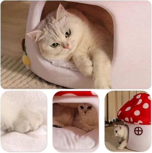 Cute Cat Bed Cave for Indoor Highland Mushroom Shaped Pet Plush House Self-Warming Nest Small Dogs Rabbits with Removable Cushion for Puppy Bed with Hanging Toy (Red Mushroom) in Saudi Arabia