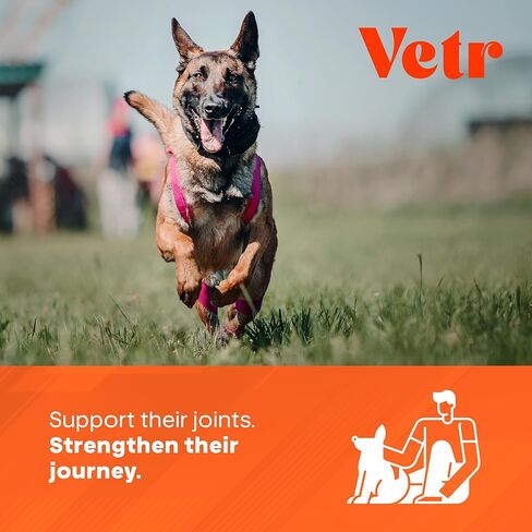 مضغ بنكهة الدجاج من Vetr للورك والمفاصل للكلاب - مكمل الجلوكوزامين كوندرويتين MSM - 60 قرصًا قابلاً للمضغ - تم تركيبه بواسطة الطبيب البيطري في الولايات المتحدة الأمريكية in Kuwait