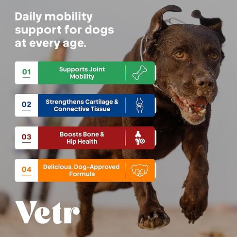 مضغ بنكهة الدجاج من Vetr للورك والمفاصل للكلاب - مكمل الجلوكوزامين كوندرويتين MSM - 60 قرصًا قابلاً للمضغ - تم تركيبه بواسطة الطبيب البيطري في الولايات المتحدة الأمريكية in Kuwait