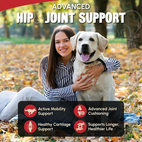 Veterinary Grade Hip and Joint Supplement for Dogs – 40 Scoops Ultimate Strength Dog Supplements for Advanced Mobility, Joint Comfort, Cartilage Health, Flexibility – Liver Flavored in Saudi Arabia