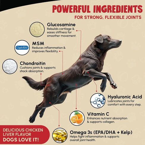 Veterinary Grade Hip and Joint Supplement for Dogs – 40 Scoops Ultimate Strength Dog Supplements for Advanced Mobility, Joint Comfort, Cartilage Health, Flexibility – Liver Flavored in Saudi Arabia
