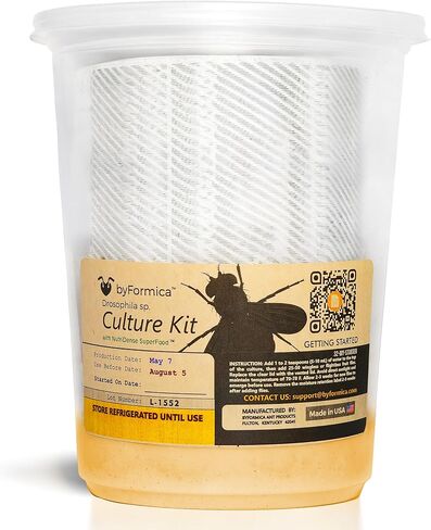 byFormica Just Add Flies! Fruit Fly DIY Culture Kit for Drosophila Melanogaster or Hydei with NutriDense SuperFood Blend (MaxYield) in Saudi Arabia