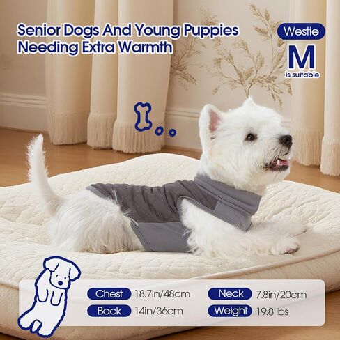 FUAMEY الكلب سترة الصوف للكلاب المتوسطة، الكلب الشتاء سترة خفيفة الوزن الكلاب معطف البلوز تنفس الحيوانات الأليفة الياقة المدورة السترات يندبروف مقاومة للماء سترات دافئة جرو سنوسويت براون M in Kuwait