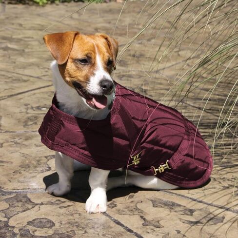 Dura-Tech Channel Quilted Dog Coat | Midweight Warmth for Dogs | 420D Breathable Nylon | 200g Poly Fill Insulation | Adjustable Criss-Cross Surcingles | Color Black | Size Medium in Saudi Arabia