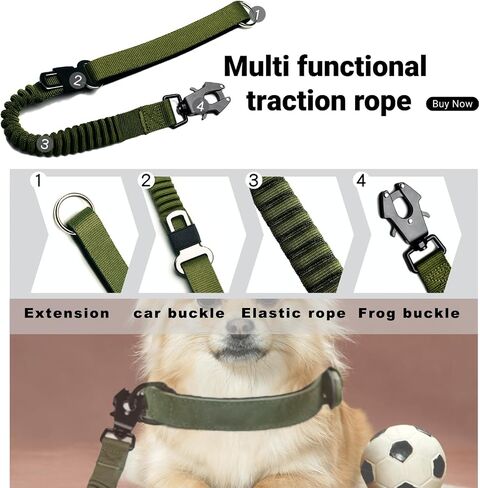 2PCS Tactical Dog Leash Heavy Duty, 20-25Inch Bungee Dog Leash, Training Walking Bungee Lead with Heavy Duty Frog Clip Car Seatbelt for Medium Large Dogs Training Walking (Black, Green) in Saudi Arabia