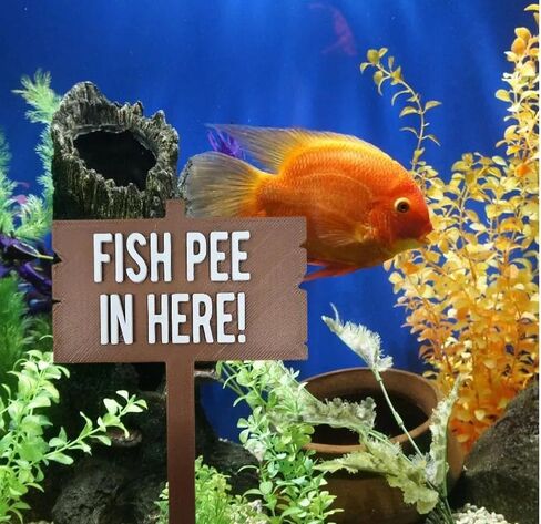Funny Fish Tank Decor Fish Pee in Here Aquarium Decor Gag Gift for Fish Tank Gag Gift for Friend Moana in Saudi Arabia