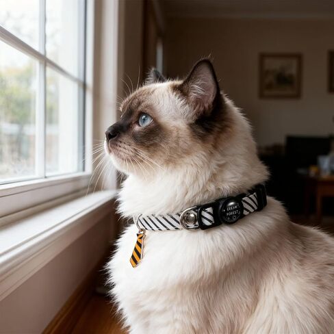 3 Pack Boy Cat Collars, Stripes Cotton Collar Breakaway Cat Collars with Neckties Cute Neckties Kitty Collar for Wedding Party Formal Occasions in Saudi Arabia