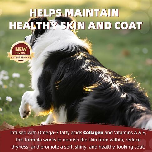 Dembonz Joint Supplement for Dogs – Hip and Joint Chews for Dogs, Glucosamine, Chondroitin, Omega 3, Collagen & Probiotics, Supports Digestion, Immunity, Fur, and Oral, 120 Count in Saudi Arabia