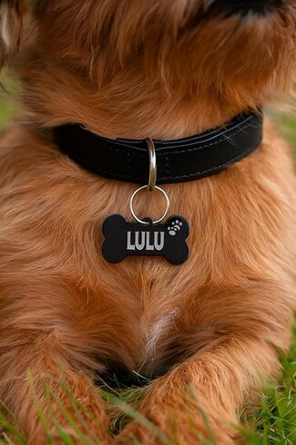 Stainless Steel Personalized Pet ID Tags, Art Design for Dog Tags, Cat Tags, Customized and Engraved on Both Sides of ID Tag, Bat in Black, Silver, Blue, Gold, Rose Gold Color in Saudi Arabia
