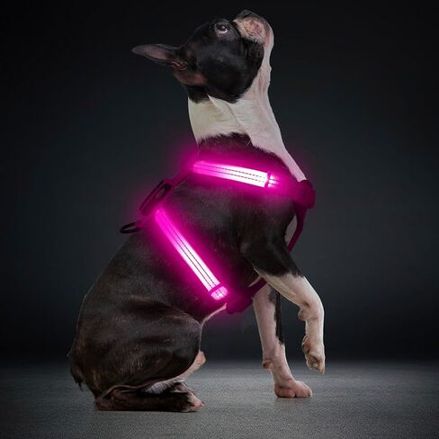 Light Up Small Dog Harness, LED Rechargeable Harness for Small Sized Dog, No Pull Reflective Adjustable Dog Vest Harness with Soft Light, Glow-in-The-Dark for Night Safety Walking (Blue) in Kuwait