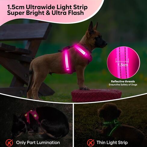 Light Up Small Dog Harness, LED Rechargeable Harness for Small Sized Dog, No Pull Reflective Adjustable Dog Vest Harness with Soft Light, Glow-in-The-Dark for Night Safety Walking (Blue) in Kuwait
