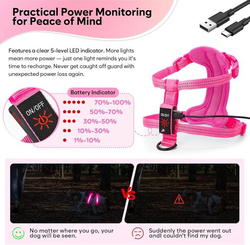 Light Up Small Dog Harness, LED Rechargeable Harness for Small Sized Dog, No Pull Reflective Adjustable Dog Vest Harness with Soft Light, Glow-in-The-Dark for Night Safety Walking (Blue) in Kuwait