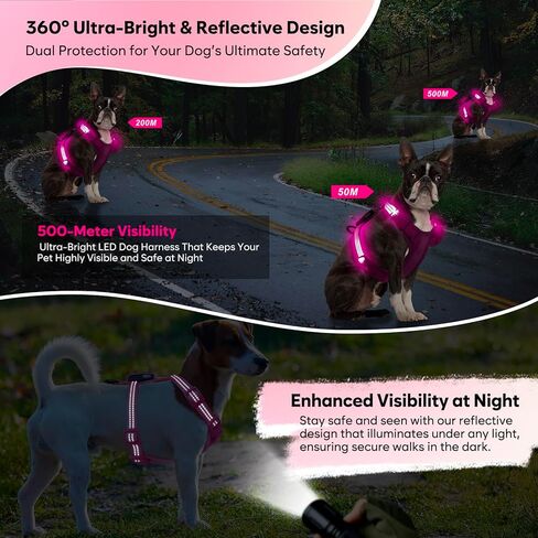Light Up Small Dog Harness, LED Rechargeable Harness for Small Sized Dog, No Pull Reflective Adjustable Dog Vest Harness with Soft Light, Glow-in-The-Dark for Night Safety Walking (Blue) in Kuwait