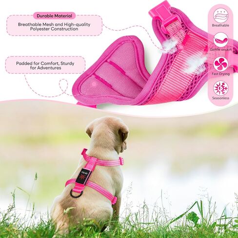 Light Up Small Dog Harness, LED Rechargeable Harness for Small Sized Dog, No Pull Reflective Adjustable Dog Vest Harness with Soft Light, Glow-in-The-Dark for Night Safety Walking (Blue) in Kuwait