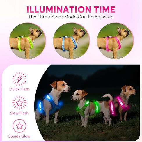 Light Up Small Dog Harness, LED Rechargeable Harness for Small Sized Dog, No Pull Reflective Adjustable Dog Vest Harness with Soft Light, Glow-in-The-Dark for Night Safety Walking (Blue) in Kuwait