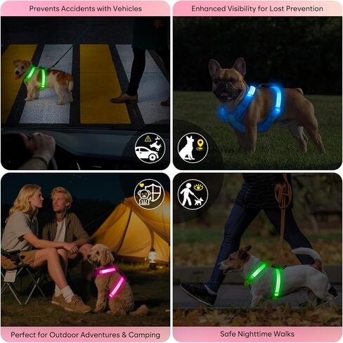 Light Up Small Dog Harness, LED Rechargeable Harness for Small Sized Dog, No Pull Reflective Adjustable Dog Vest Harness with Soft Light, Glow-in-The-Dark for Night Safety Walking (Blue) in Kuwait