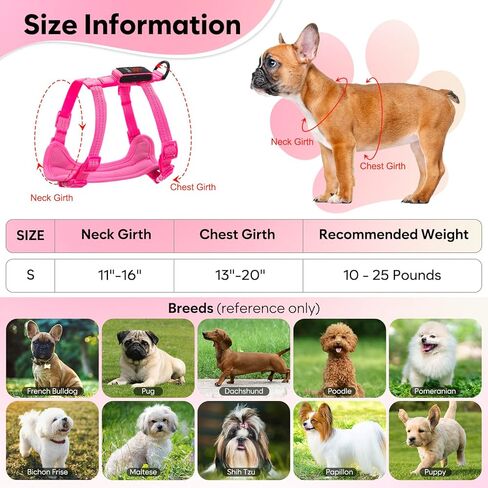 Light Up Small Dog Harness, LED Rechargeable Harness for Small Sized Dog, No Pull Reflective Adjustable Dog Vest Harness with Soft Light, Glow-in-The-Dark for Night Safety Walking (Blue) in Kuwait