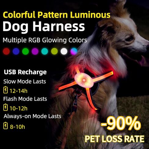 سرج مضيء للكلاب 2025 LED مع وضع RGB متعدد الألوان وشريط TPU فائق السطوع، قابل لإعادة الشحن عبر USB، مقاوم للماء، قابل للتعديل في الظلام من أجل سلامة المشي ليلاً، وتجنب الحوادث in Kuwait