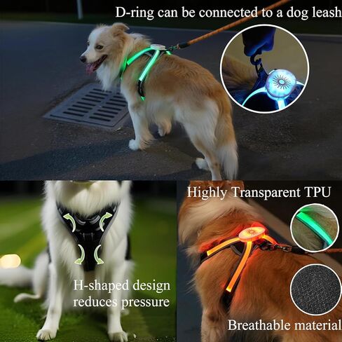 سرج مضيء للكلاب 2025 LED مع وضع RGB متعدد الألوان وشريط TPU فائق السطوع، قابل لإعادة الشحن عبر USB، مقاوم للماء، قابل للتعديل في الظلام من أجل سلامة المشي ليلاً، وتجنب الحوادث in Kuwait