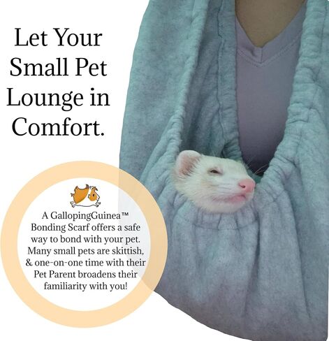 Bonding Scarf for Small Pets | Perfect for Guinea Pigs, Rats, Chinchillas, Hedgehogs, Ferrets, Puppies, Kittens, & More! (Surprise Me (Girl)) in Kuwait