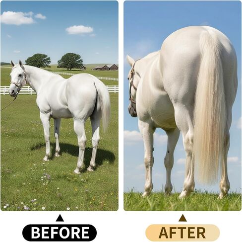 Natural White Real Horse Tail Extensions - 28-30" Length, 4/8 lb Weight with Braided Horsehair Loop in Saudi Arabia