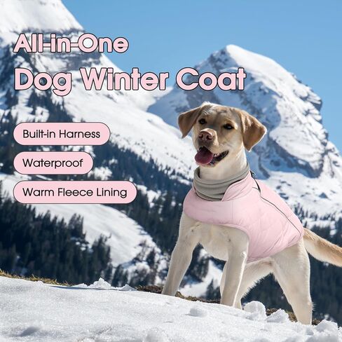 معطف للكلاب الكبيرة من QBLEEV، سترة صوفية دافئة للشتاء، مقاومة للماء والرياح مع مقاس قابل للتعديل، حزام مدمج، زخرفة عاكسة وسحاب للمشي المريح الآمن - وردي، مقاس XL، لبيتبول، بوكسر in Kuwait