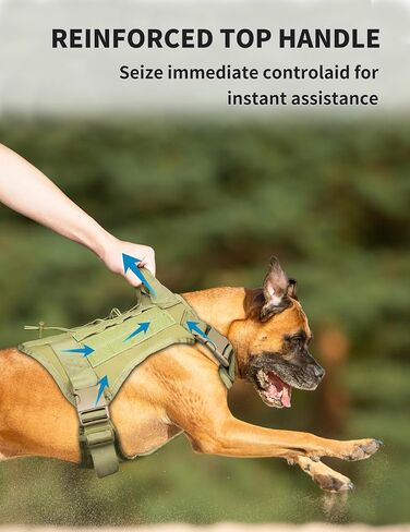 Tactical Dog Harness for Medium Large Breeds, No Pull Adjustable Service Dog Harness with Handle & Molle System, Top Elastic Retention Cord, Full Body K9 Dog Training Vest for Walking in Saudi Arabia