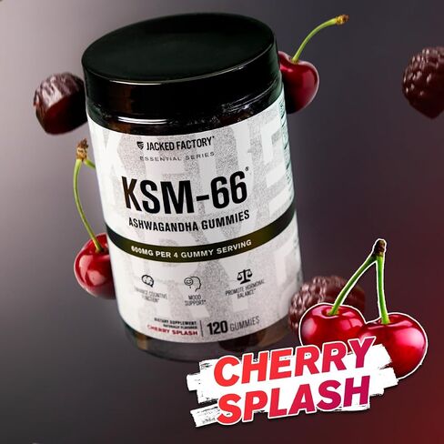 مستخلص جذور أشواغاندا (KSM-66 أشواغاندا) مع 5% ويثانوليدات - مكمل لتخفيف التوتر الطبيعي، والوظيفة الإدراكية، والحيوية، ودعم المزاج - 60 كبسولة نباتية in Kuwait