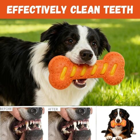 Dog Squeaky Toys for Aggressive Chewers,Dog Toys，Tough Durable Dogs Toys with Natural Rubber，Chewers for Small, Medium and Large Breeds Bone Toy in Saudi Arabia