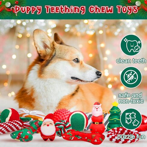 16 PCS Halloween Dog Advent Calendar 2025 Squeaky Toys Pumpkin Ghost Interactive Ball and Bones Agm For Small Medium Exper Gare Guppy Buppy Heagh Hight (Halloween) in Kuwait