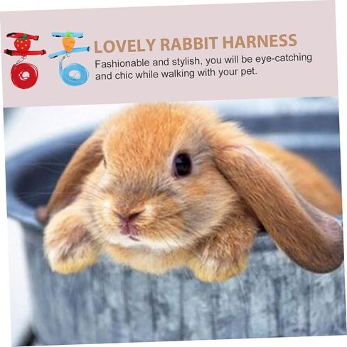 Milisten 2Sets Rabbit Leash and Harness Kit Stylish Bunny Traction Rope for Pets Durable Escape Design Easy One Hand Operation Random Style in Saudi Arabia