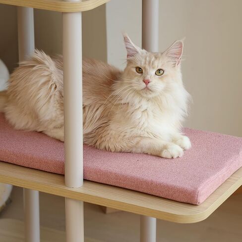 شجرة قطط كبيرة حديثة، بطول 62 بوصة مع منصات مقاس XL 25.6 بوصة، وبنية ثقيلة بوزن 60 رطلًا - إعادة تعريف أثاث القطط مع الثبات والمساحة والأناقة للقطط الكبيرة (رمادي) in Kuwait