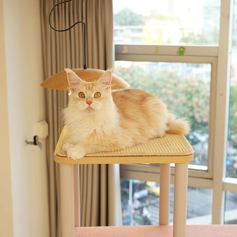 شجرة قطط كبيرة حديثة، بطول 62 بوصة مع منصات مقاس XL 25.6 بوصة، وبنية ثقيلة بوزن 60 رطلًا - إعادة تعريف أثاث القطط مع الثبات والمساحة والأناقة للقطط الكبيرة (رمادي) in Kuwait