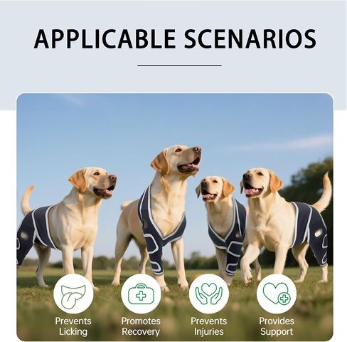 Dog Knee Brace for Torn ACL Hind Leg, Adjustable Four-Legged Universal Dog Knee Brace for Arthritis, Patellar Luxation, Hip Dysplasia, Relieve Joint Pain and Ligament Damage,L in Kuwait