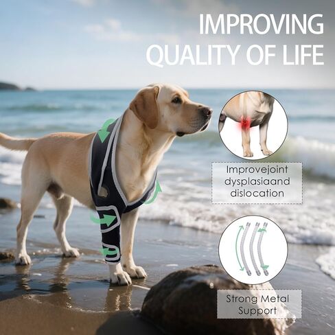 Dog Knee Brace for Torn ACL Hind Leg, Adjustable Four-Legged Universal Dog Knee Brace for Arthritis, Patellar Luxation, Hip Dysplasia, Relieve Joint Pain and Ligament Damage,L in Kuwait