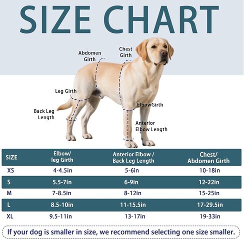 Dog Knee Brace for Torn ACL Hind Leg, Adjustable Four-Legged Universal Dog Knee Brace for Arthritis, Patellar Luxation, Hip Dysplasia, Relieve Joint Pain and Ligament Damage,L in Kuwait