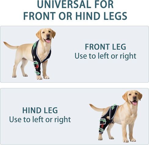 Dog Knee Brace for Torn ACL Hind Leg, Adjustable Four-Legged Universal Dog Knee Brace for Arthritis, Patellar Luxation, Hip Dysplasia, Relieve Joint Pain and Ligament Damage,L in Kuwait