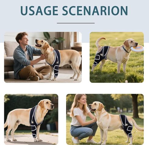 Dog Knee Brace for Torn ACL Hind Leg, Adjustable Four-Legged Universal Dog Knee Brace for Arthritis, Patellar Luxation, Hip Dysplasia, Relieve Joint Pain and Ligament Damage,L in Kuwait