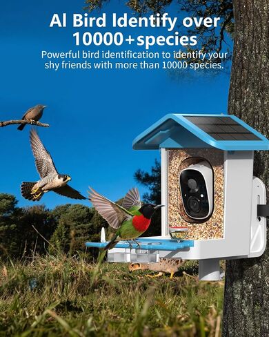 Bird Feeder with Camera, 2K Smart BirdCamera with Solar Powered, AI Identify Birds Species, Instant Arrival Alerts, 2.4Ghz WiFi Bird House for Outdoors, Ideal Gift for Family and Bird Lovers (Green) in Saudi Arabia