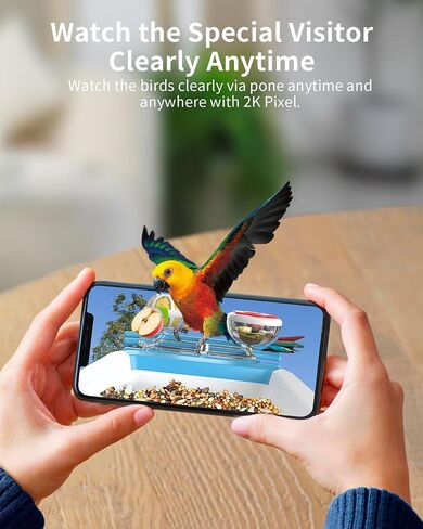 Bird Feeder with Camera, 2K Smart BirdCamera with Solar Powered, AI Identify Birds Species, Instant Arrival Alerts, 2.4Ghz WiFi Bird House for Outdoors, Ideal Gift for Family and Bird Lovers (Green) in Saudi Arabia