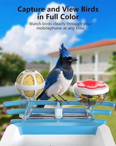 Bird Feeder with Camera, 2K Smart BirdCamera with Solar Powered, AI Identify Birds Species, Instant Arrival Alerts, 2.4Ghz WiFi Bird House for Outdoors, Ideal Gift for Family and Bird Lovers (Green) in Saudi Arabia