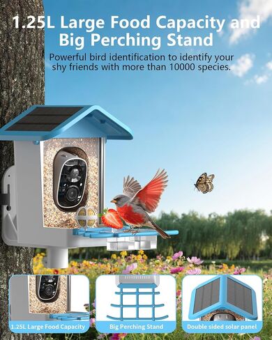 Bird Feeder with Camera, 2K Smart BirdCamera with Solar Powered, AI Identify Birds Species, Instant Arrival Alerts, 2.4Ghz WiFi Bird House for Outdoors, Ideal Gift for Family and Bird Lovers (Green) in Saudi Arabia