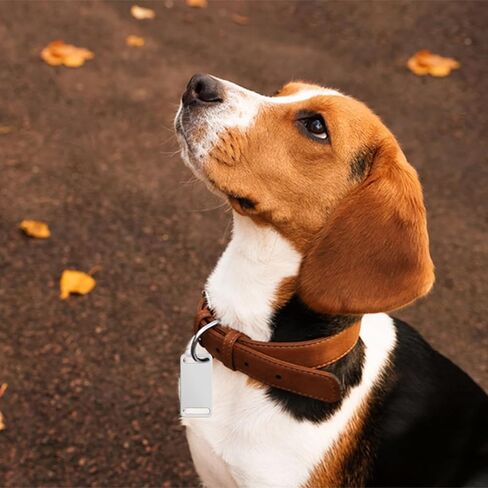 30 قطعة من علامات الكلاب الفارغة للنقش بالليزر من Diakey، تنزلق على طوق معدني من الألومنيوم للكلاب والقطط، علامات تعريف اسم الحيوانات الأليفة، علامات فارغة لنقش الختم الشخصي، أسود in Kuwait