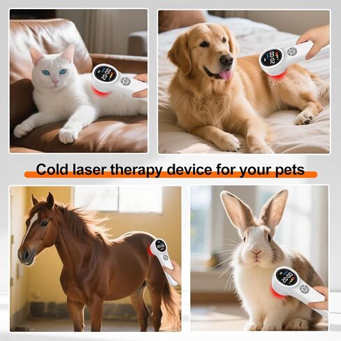 HIAiL Cold Laser Therapy Device for Dogs, Muscles and Joints Pain Relief, 4x980nm 4x810nm 16x660nm Veterinary Laser Therapy Machine for Cats, Horses and Animals, Laser Therapy Device for Pets at Home in Saudi Arabia