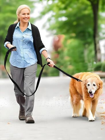 Heavy Duty Dog Leash - 2 Handles by Padded Traffic Handle for Extra Control, 6 Foot Long - Perfect for Medium to Large Dogs, Black in Saudi Arabia